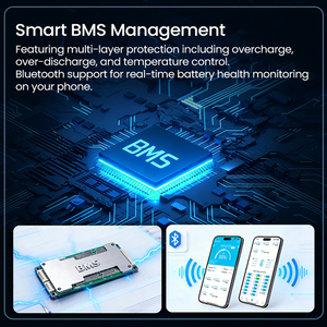 Hete Aanbieding in Bangladesh: Elektrische Driewieler Batterij Lange Afstand 72V 100Ah Lithium Batterij 3-Wieler Taxi Lithium Ion Batterij - Product Image 4