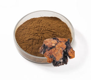 Suministro 30% Polisacáridos Bai <span class=keywords><strong>Hua</strong></span> <span class=keywords><strong>Rong</strong></span> Extracto de hongo Inonotus Obliquus Polvo Extracto de Chaga - Product Image 3