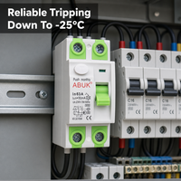 Disjoncteur différentiel électromagnétique RCCB 2P 4P 16A-63A 30mA 100mA 300mA Type AC RCD 6kA 10kA Rail DIN IEC61008 CE