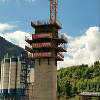 Solution Complète pour Coffrage de Colonnes Cantilever H20 en Acier pour Piliers de Barrages et Murs de Cisaillement de Conception Moderne – Durable et Conçu pour l'Ascension des Colonnes
