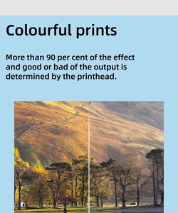 DX5น้ำมัน F186000หัวพิมพ์แบบเก่าสำหรับ Epson R1800/R1900/R2000/R2400/Pro4400 R2880/Pro4450/Pro4800/Pro4880/Pro7800หัวพิมพ์ - Product Image 2