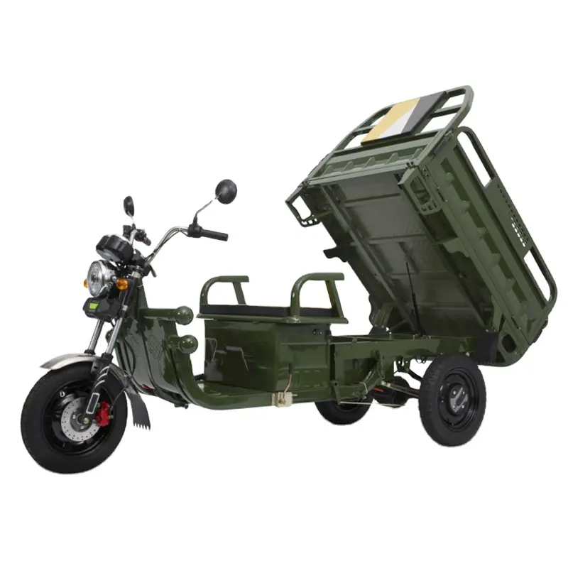 Profesyonel üretim 1000w EEC yetişkin iki kişilik tarım kargo motosiklet 3 tekerlekli elektrikli kargo bisikleti scooter