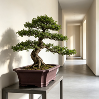 Pot de Plante Simple, Pots Minimalistes pour Arbres, Pot à Bonsaï en Argile Violette de Yixing, Pots de Fleurs Écologiques pour Hôtels, Jardins et Fenêtres