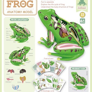 Juguete Educativo <span class=keywords><strong>de</strong></span> <span class=keywords><strong>Ciencia</strong></span> para el <span class=keywords><strong>Desarrollo</strong></span> <span class=keywords><strong>de</strong></span> la Inteligencia Infantil, Material Plástico con Forma <span class=keywords><strong>de</strong></span> Animal para Armar, Aprendizaje Científico - Product Image 4