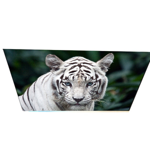G270QAN02.0 ขายส่งหน้าจอ LCD TFT ขนาด 27.0 นิ้ว ความละเอียด 2560*1440 รุ่นใหม่ - Product Image 1