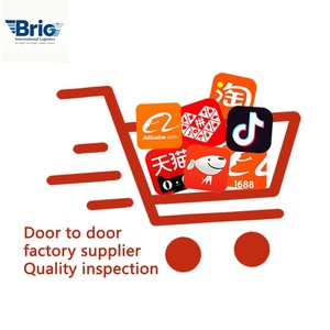 Air <b>Freight</b> DHL DDP Logistics Services UPS From China to France Germany Italy Spain UK Special Transportation Shipping <b>Agent</b> - Product Image 1