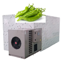 Chambre de déshydratation de poivrons verts en acier inoxydable de haute qualité pour le traitement agricole – Séchoir à pompe à chaleur écoénergétique