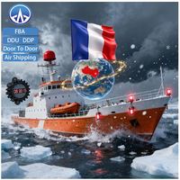 Spezieller Speditionsagent für LCL+Express Seefracht nach Frankreich mit Wettbewerbsfähigen Preisen und 24/7 Support