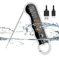 Four à Fumer Numérique Rechargeable Type-C Haute Précision avec Écran LED, Étanche, pour Barbecue, Cuisson de Dinde et de Steak, Utilisation Intérieure et Extérieure