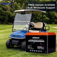 Batterie LiFePO4 Haute Capacité 24V 200AH 5KW Grade A 6K Cycles pour Chariot de Golf avec BMS Intelligent Bluetooth, Terminal M8, CE RoHS IP67, OEM ODM