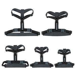 Tùy Chỉnh Cá Nhân Sang Trọng Độn Phản Quang Dây Đeo H Thoát Khỏi Bằng Chứng Con Chó Khai Thác Có Thể Điều Chỉnh Tùy Chỉnh Pet Dog Khai Thác Các Nhà Sản Xuất - Product Image 5