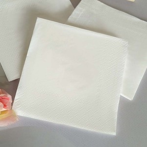 Servilletas Desechables Suaves de 2 Capas, 250 mm, Plegables, de Pulpa de Madera Virgen, en Bolsa, Personalizables para Cena, Cóctel, Almuerzo - Product Image 5