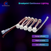 Source de lumière décorative à LED programmable DC12V SPI 20mm pour contour de pont de parc d'attractions et grande roue