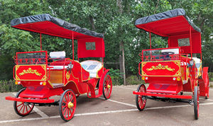 Buggy eléctrico sin caballos de baja velocidad aprobado por la CE 2023 para transporte especial de pasajeros - Product Image 4