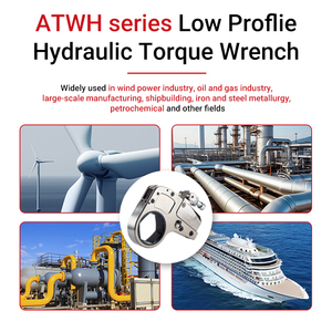 ประแจ30ATWH-Series ไฮดรอลิกประแจแรงบิดต่ำโปรไฟล์หกเหลี่ยม4188-41882N.m สำหรับการจีบ - Product Image 6