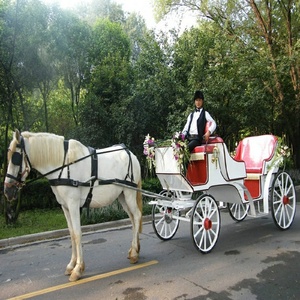 Carrozza Vittoriana Reale per Matrimoni ed Eventi Speciali - Carrozza Pieghevole a Tettuccio, Trainata da Cavalli ed Elettrica - Product Image 4