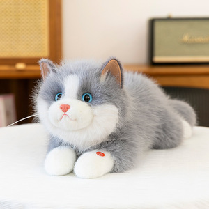 Peluche de Gato Ragdoll Blanco y Negro, Simulación de Alta Calidad, Lindo Gatito de Peluche con Pelo Largo, Muñeco de Peluche, Regalo para Niñas y Amigas, Venta al por Mayor - Product Image 3