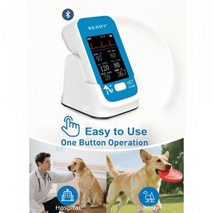 Am6200 Màn hình thú cưng một nút hoạt động các biện pháp <span class=keywords><strong>ECG</strong></span> nhịp tim không xâm lấn huyết áp oxy máu bão hòa nhịp tim - Product Image 4