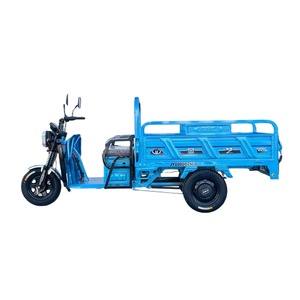 Vente directe d'usine - Tricycle électrique multifonctionnel ouvert pour le transport de marchandises sur les chantiers de construction - Product Image 2
