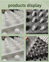 Planche de drainage rainurée en HDPE avec fonction de drainage efficace, adaptée aux projets de construction et de aménagement paysager