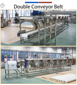 Système de convoyage alimentaire industriel sur mesure, couches et dimensions personnalisées, SUS304 pour la connexion aux lignes de traitement - Product Image 4