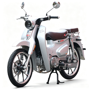 Motocicleta de <span class=keywords><strong>Gasolina</strong></span> FAST RIDER Super Cub Underbonecub, Nueva para Adultos, Suministro Directo de Fábrica, 110cc 125cc, 4 Tiempos, 4 Velocidades - Product Image 1