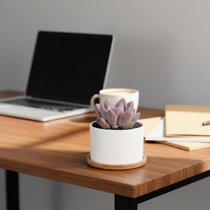 Maceta <span class=keywords><strong>de</strong></span> Cerámica Ecológica, Biodegradable, Ligera, <span class=keywords><strong>de</strong></span> Diseño Moderno y Simple, para Plantas Verdes, <span class=keywords><strong>Suculentas</strong></span> y Flores, para Uso en Escritorio - Product Image 2