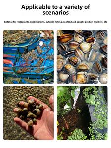 Red de pesca de malla pequeña de hierro galvanizado con mango de madera, engrosada, para la captura de peces y algas de estanque y embalse. - Product Image 5