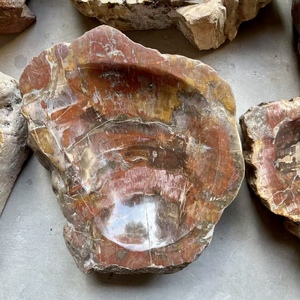 Bois pétrifié naturel poli fossile cristal tranche sous-verre spécimen minéral bol fossile en bois pour la décoration - Product Image 3