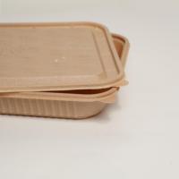 Boîtes à lunch bento en balle de riz avec logo personnalisé, 5 compartiments, sans PFAS, biodégradables, contenants alimentaires jetables avec couvercle, utilisation en restaurant