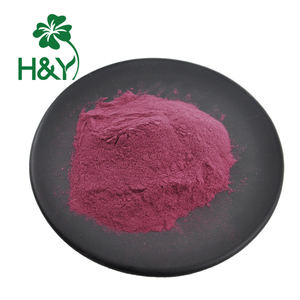 Hot bán <span class=keywords><strong>Sambucus</strong></span> <span class=keywords><strong>nigra</strong></span> chiết xuất từ quả đen Cơm cháy Chiết Xuất 100:1 chiết xuất bột - Product Image 1