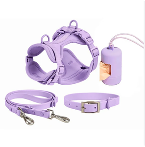 Arnés y Correa de Lujo Premium para Perros, Impermeable, de PVC y Neopreno, sin Tirones, con Logotipo Personalizado de Diseñador - Product Image 6