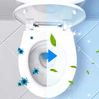 Poudre nettoyante moussante pour toilettes, dissolvant de tartre urinaire et éliminateur d'odeurs