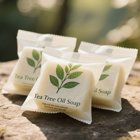 Sachet en plastique scellé imprimé sur mesure, pochette en plastique, emballage pour savon à l'huile essentielle d'arbre à thé