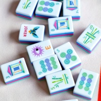 Jeu de Mahjong Américain Moderne de Luxe Personnalisé 160 Pièces – Oeil de Soleil, Papillon, Oiseau, Floral, Joker – en Acrylique pour Famille et Club