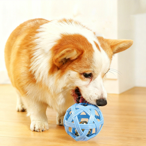 Toptan Dayanıklı Evcil Köpek Eğitim Aksesuarları İnteraktif Çiğneme Oyuncakları Evcil Hayvan Top Oyuncakları - Product Image 2
