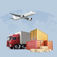 Transitaire Professionnel Mondial Porte à Porte Agent de Transport Maritime et Aérien De la Chine Vers les États-Unis, l'Europe, le Panama et Haïti