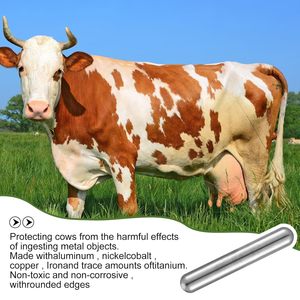 Aimant pour bovins Alnico5 pour soins vétérinaires, aimant pour l'estomac des bovins recouvert de métal - Product Image 3