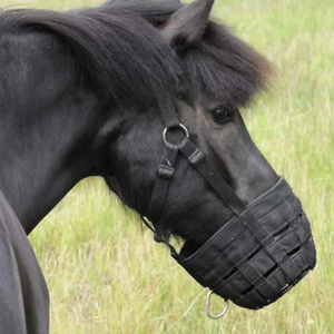 Diseño de bozal transpirable para caballos para mejorar el flujo de aire y un uso cómodo durante todo el día - Product Image 1