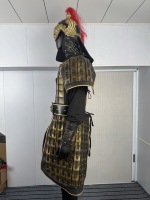 Ensemble d'armure de général chinois antique, costume de guerrier noir et or, casque de bête dorée, reconstitution historique, performance scénique