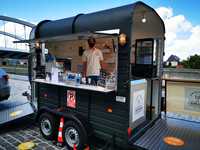 Machine à glace artisanale Miles en acier inoxydable, machine à gelato pour petites entreprises, 2 saveurs, garantie 2 ans, fabricant de glace