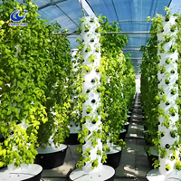 Tour de culture hydroponique automatique Système de jardin intérieur intelligent pour les légumes verts à feuilles et les herbes avec arrosage automatique