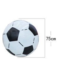 Ballon de football gonflable pour jeux de plein air, jeux aquatiques d'été, événements scolaires, divertissement et fitness, emballage en boîte blanche