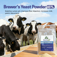 Additif alimentaire inactif de haute qualité pour protéines de levure de bière pour l'alimentation des bovins et des moutons, la nutrition du bétail et de la volaille