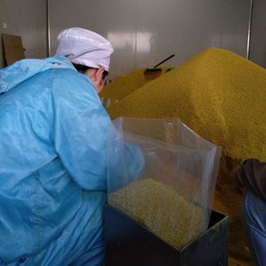 Süper besleyici arı poleni tozu yüksek protein - Product Image 4