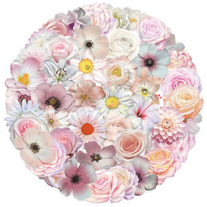 50Pcs Transparent Ins Rose Fleurs Autocollants Décoratifs pour Livre Décoration Murale Élégant Autocollant De Fleur De <span class=keywords><strong>Cerisier</strong></span> - Product Image 2