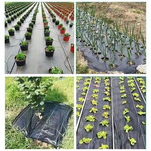 Le tapis de sol en tissu anti-mauvaises herbes pour l'agriculture en PP/PE inhibe les mauvaises herbes et hydrate le sol utilisé pour recouvrir le sol - Product Image 2