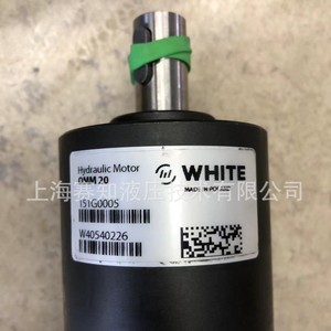 OMM20 OMM 20 151G0005 para Motor de Pistones Cicloides Danfoss, Blanco, en Existencia, Original - Product Image 3