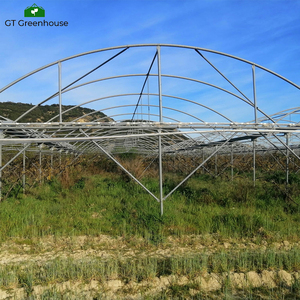 <span class=keywords><strong>Invernadero</strong></span> Comercial de Bajo Costo GT, <span class=keywords><strong>Invernadero</strong></span> de Polietileno para Fresas y Arándanos - Product Image 4