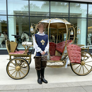 Arrivée d'une limousine de mariage et de tourisme, d'une calèche de style anglais, d'une calèche de prince, d'une calèche à chevaux, d'une calèche incroyable, d'un cabriolet, d'une caravane - Product Image 6
